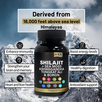 Vitality & Radiance Trio: Sea Moss, Shilajit & Magnesium